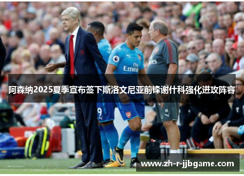 阿森纳2025夏季宣布签下斯洛文尼亚前锋谢什科强化进攻阵容